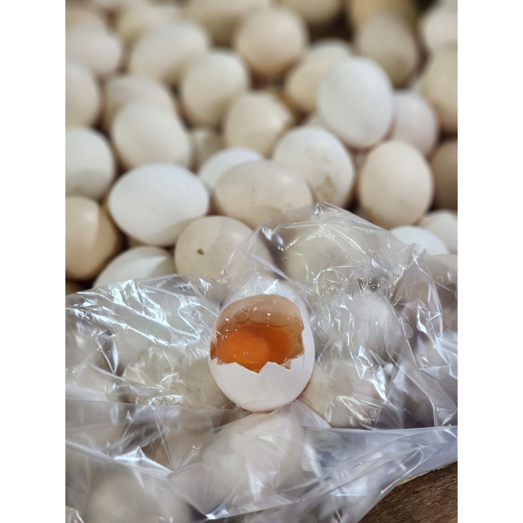 

Telur Kampung Omega 3 6 9 DHA bebas kimia dan organik fresh (perbutir)