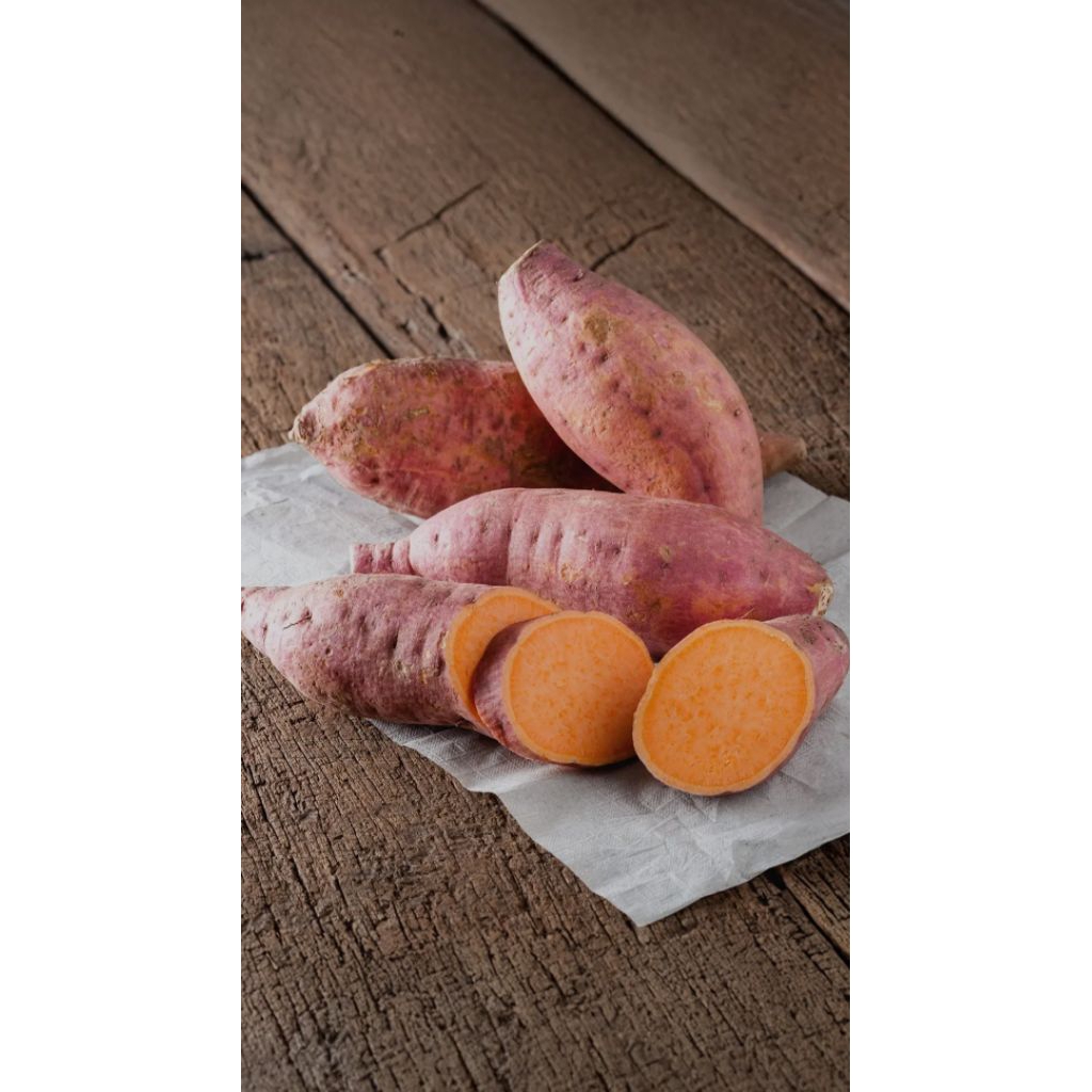 

Ubi jalar merah ubi mantang