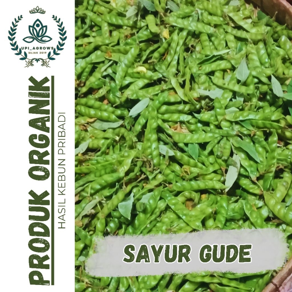 

Sayur Gude/Kacang Hiris/Segar langsung petik dari pohon/Termurah