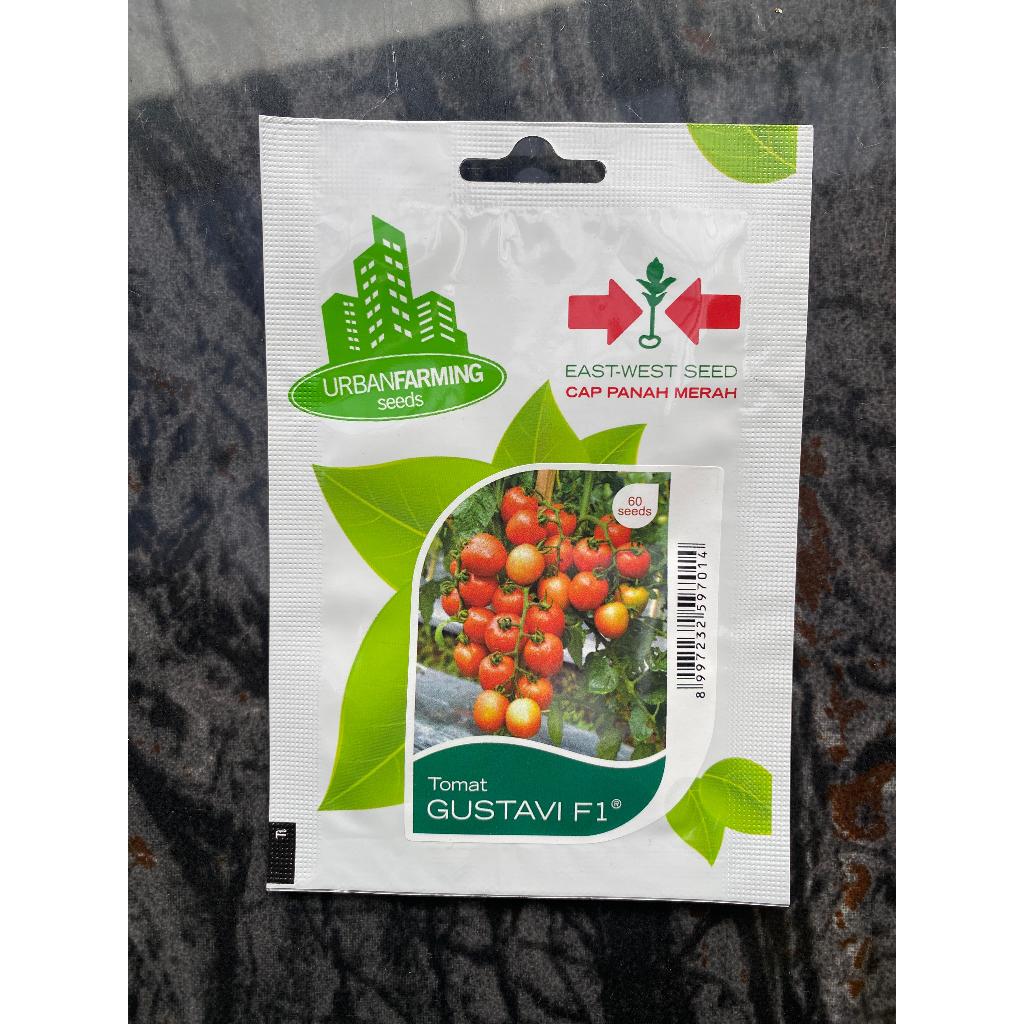 Benih Bibit Tomat Gustavi F1 - Panah Merah