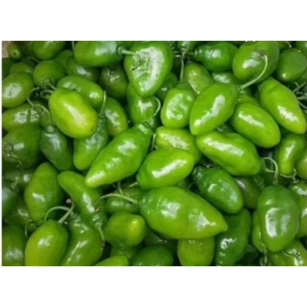 

cabe gendot 250g,500g,1kg,
