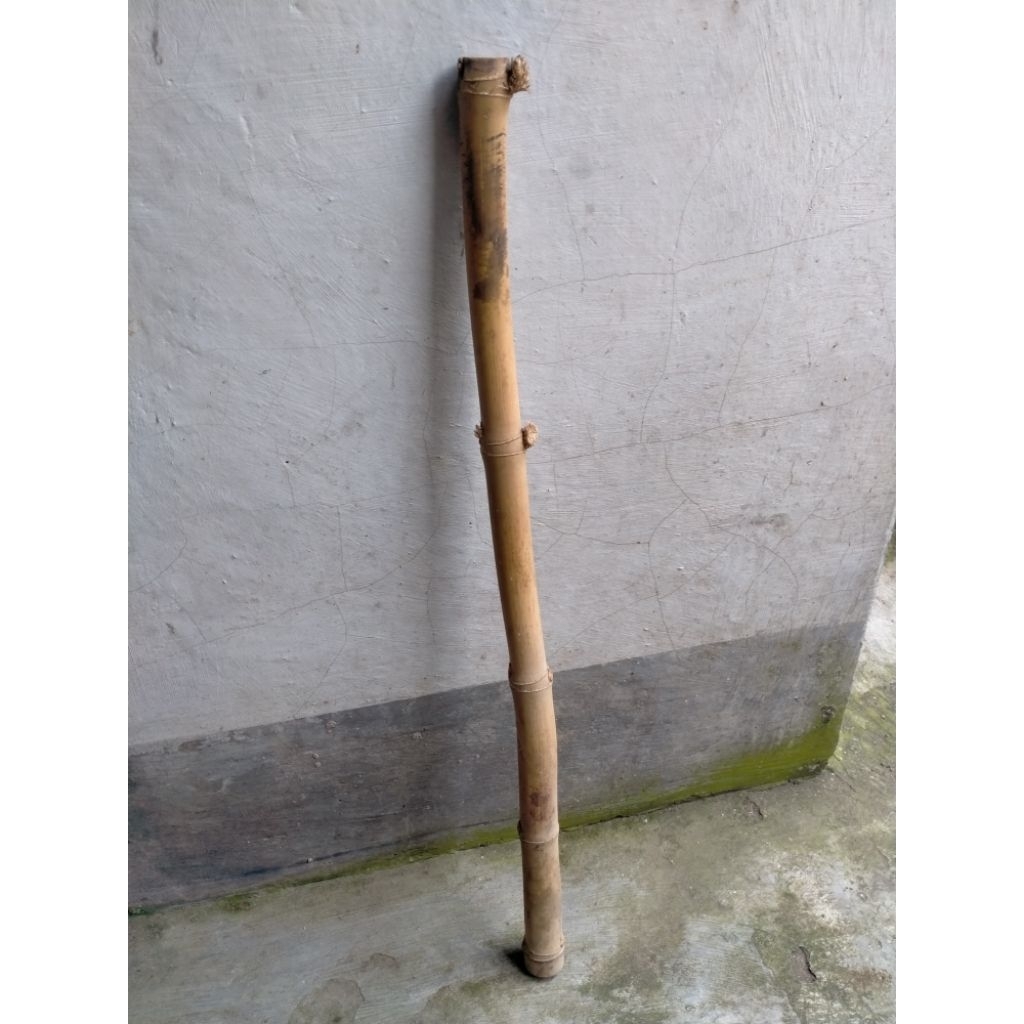 TONGKAT BAMBU UNIK BUNTET/TIDAK BERLUBANG (78 CM)