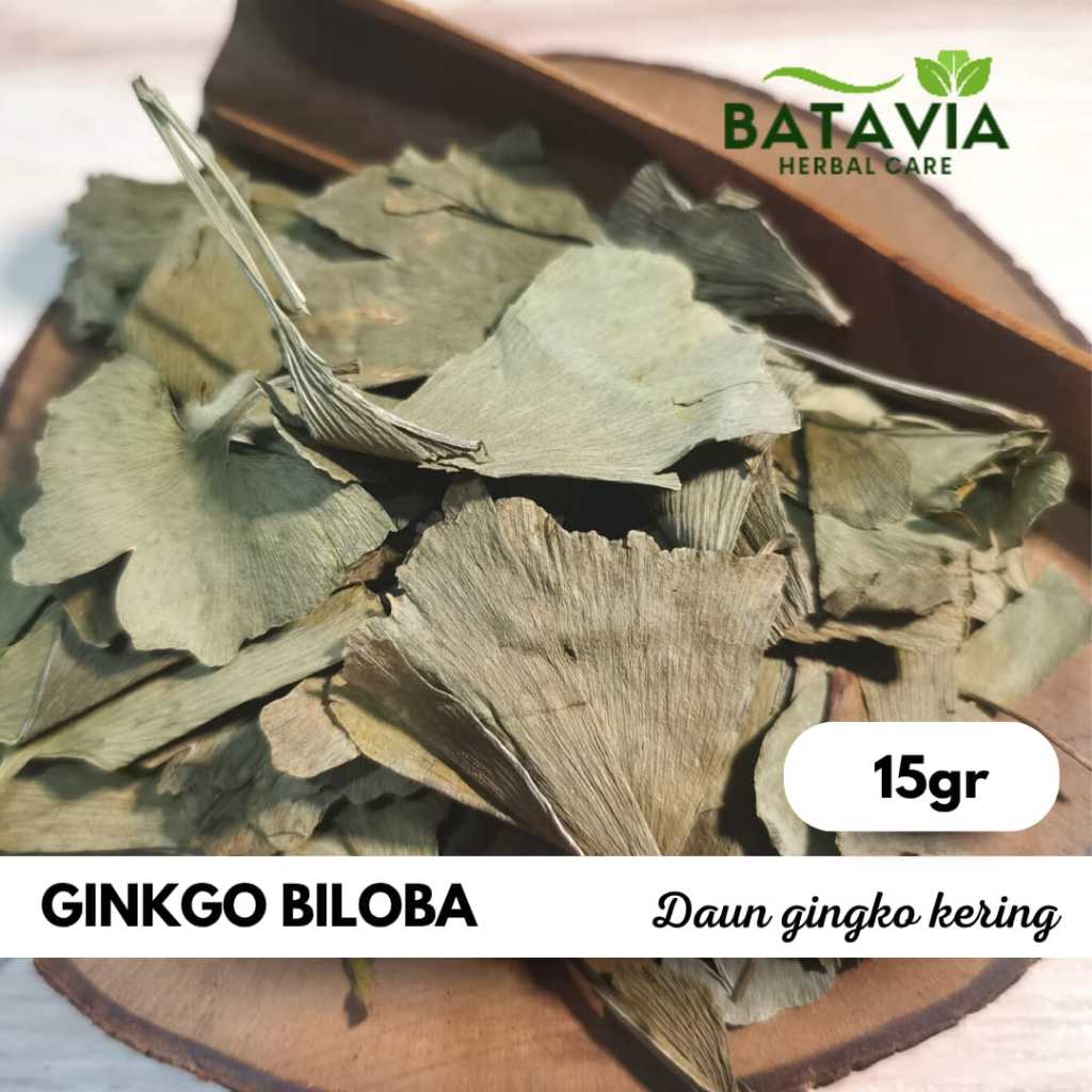 

Gingko Biloba Leaf Dried Tea Teh Gingko Biloba Gingkgo Biloba - 15gr