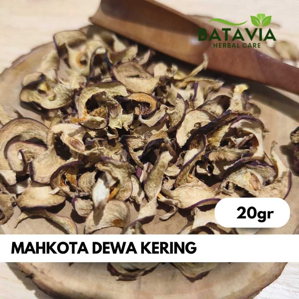 

Mahkota Dewa Kering Premium Simplisia Dried Gods Crown Herbs Time