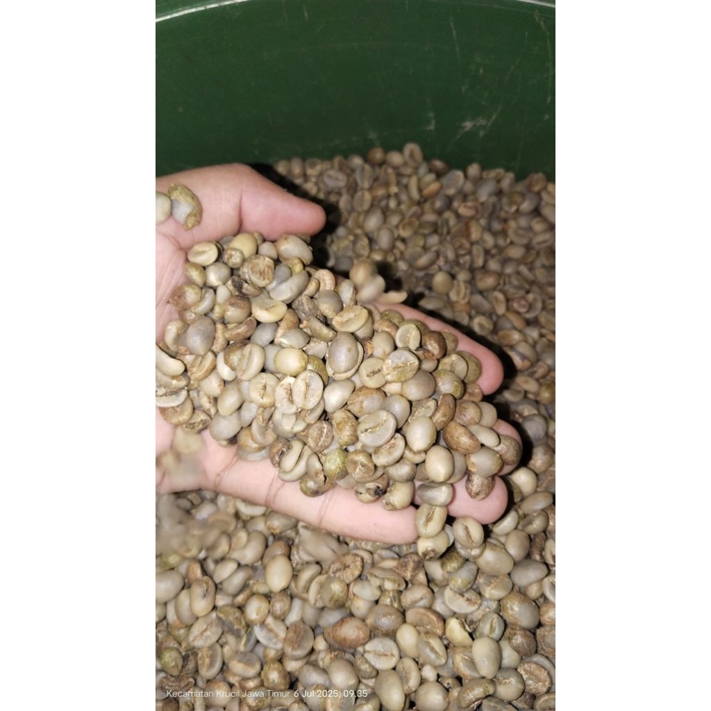 

biji kopi robusta 100 kg | green bean | kualitas super | Murah