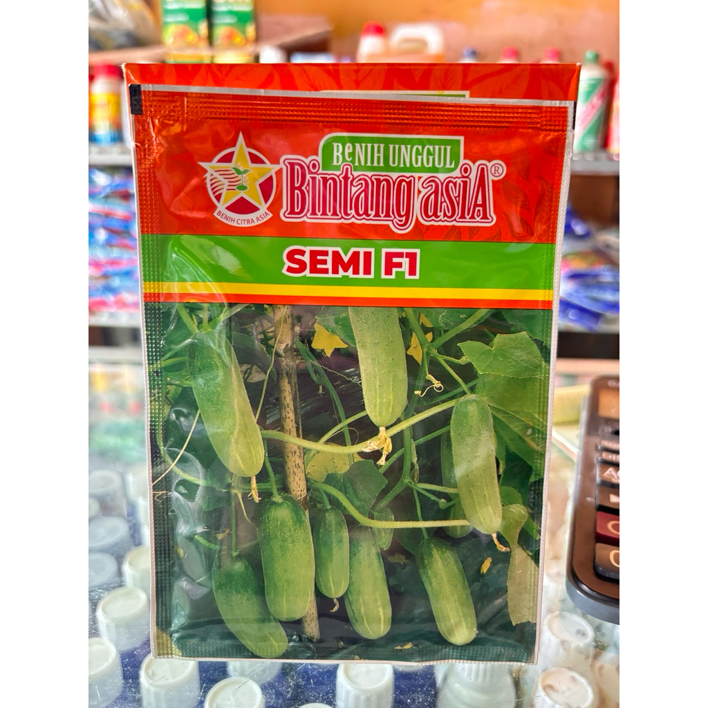 Semi F1 bibit timun semi