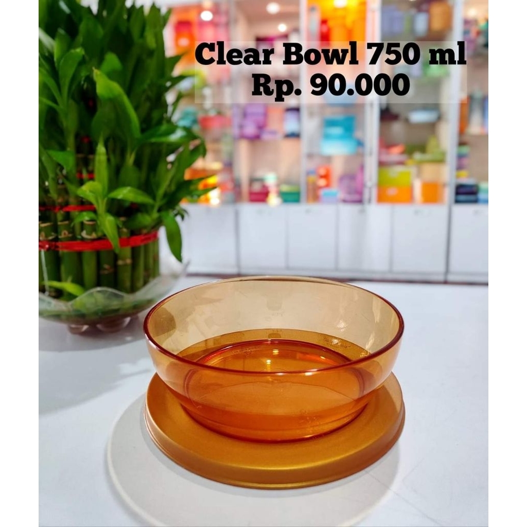 clear bowl Tupperware