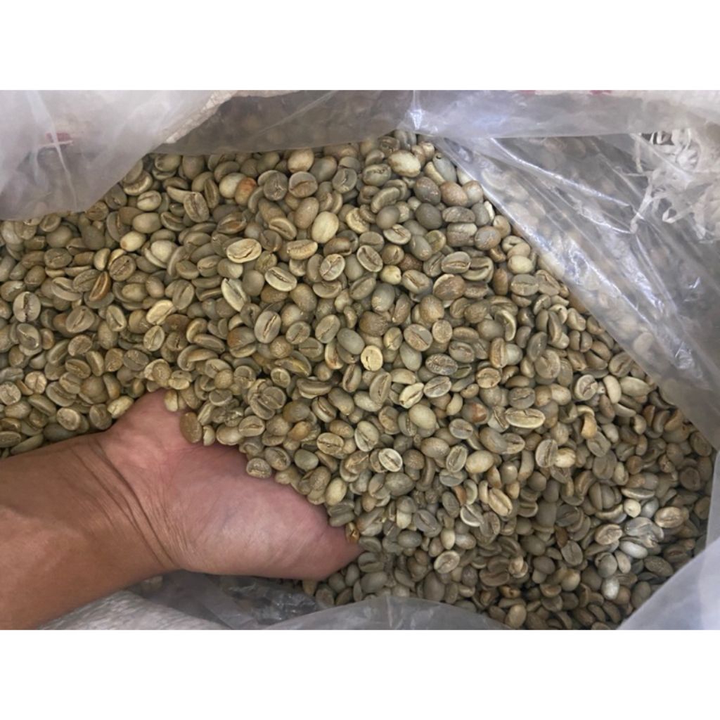 

green been arabika 1 kg