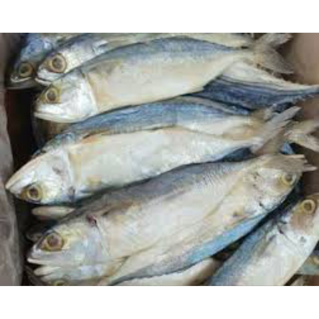 

ikan asin peda putih