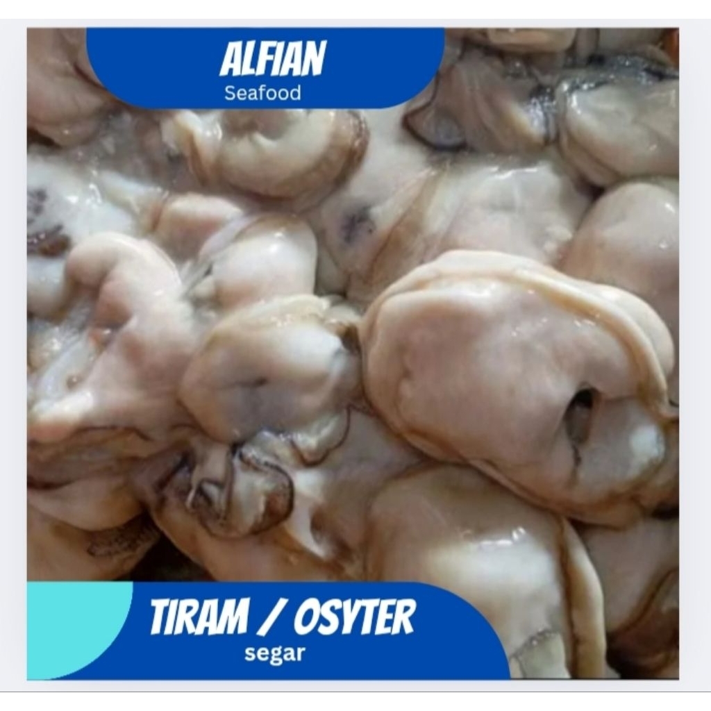 

Tirem 1kilo / Oyster / Kerang Tiram Segar Super
