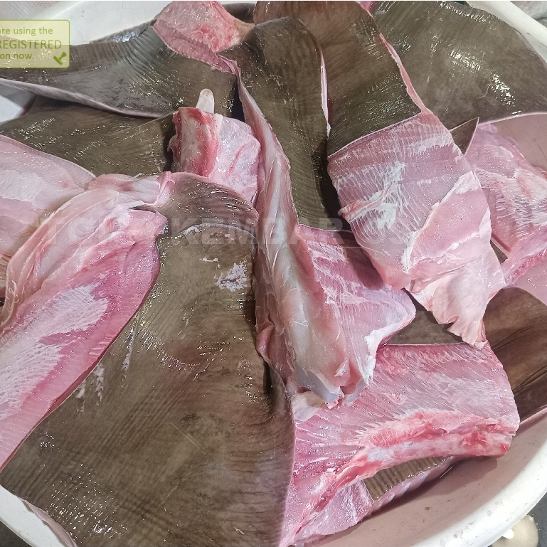 

Ikan Pari Segar Ikan Pari Fillet 1Kg