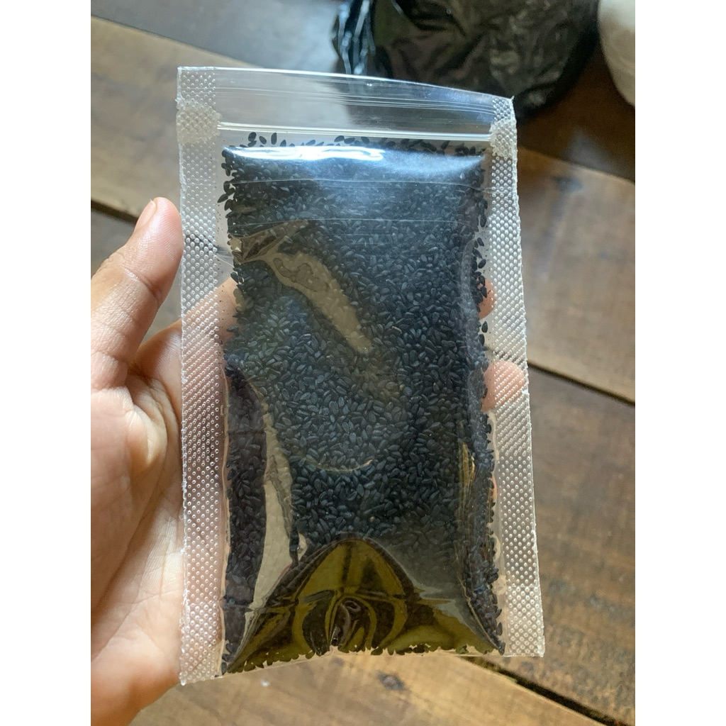 

Jintan Hitam Habbatusauda 50g