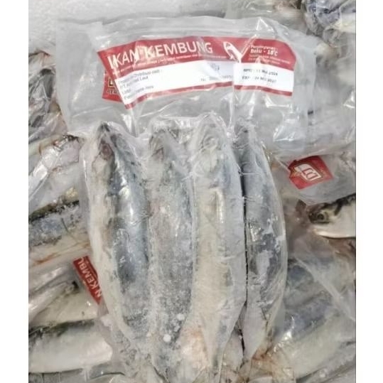 

Ikan Kembung 1kg