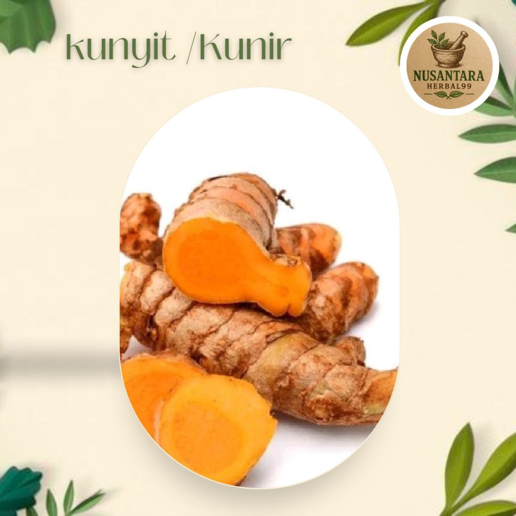 

Kunyit/Kunir Bersih Kualitas Terbaik
