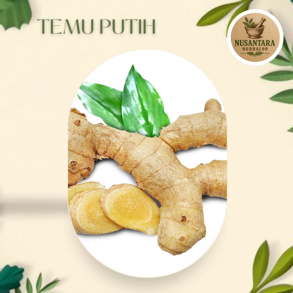 

Kunyit Putih/Temu Putih Curcuma 1kg Anti kanker