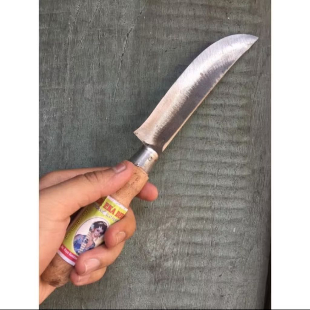 Pisau dapur baja asli/ Pisau sisik ikan/ Pisau kupas bumbu dapur/ Pisau buah/ Pisau serbaguna