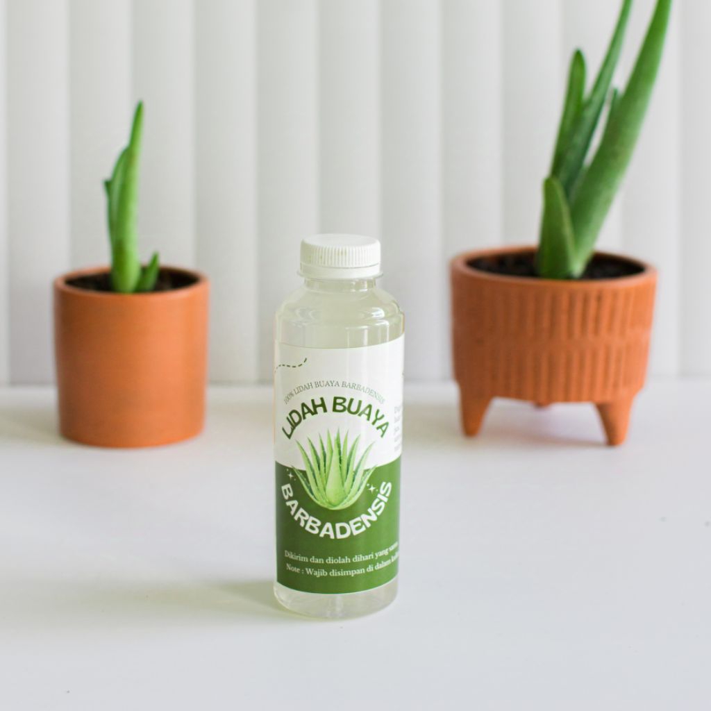 

Aloe Vera Gel Sari Lidah Buaya Barbadensis "250m" Gel Lidah Buaya Murni Ekstrak Lidah Buaya
