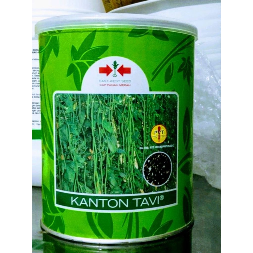 

Bibit kacang panjang Kanton Tavi