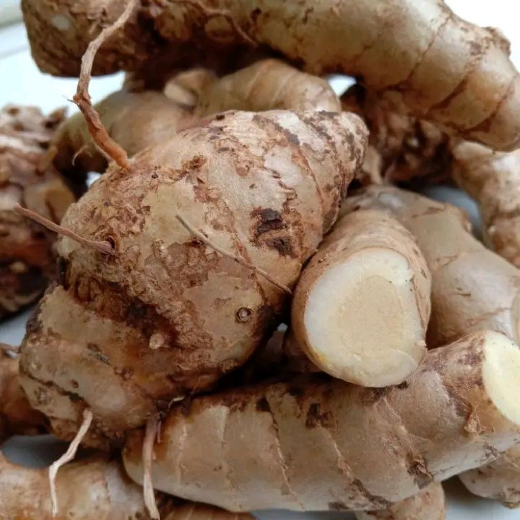 

KUNYIT PUTIH SEGAR 1 KG FRESH DADAKAN LANGSUNG AMBIL DARI KEBUN OBAT HERBAL