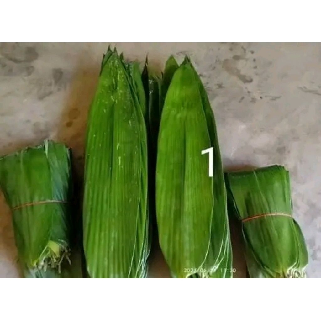 

Daun Bambu Fresh 100 Lembar Termurah Bungkus Bacang Bakcang