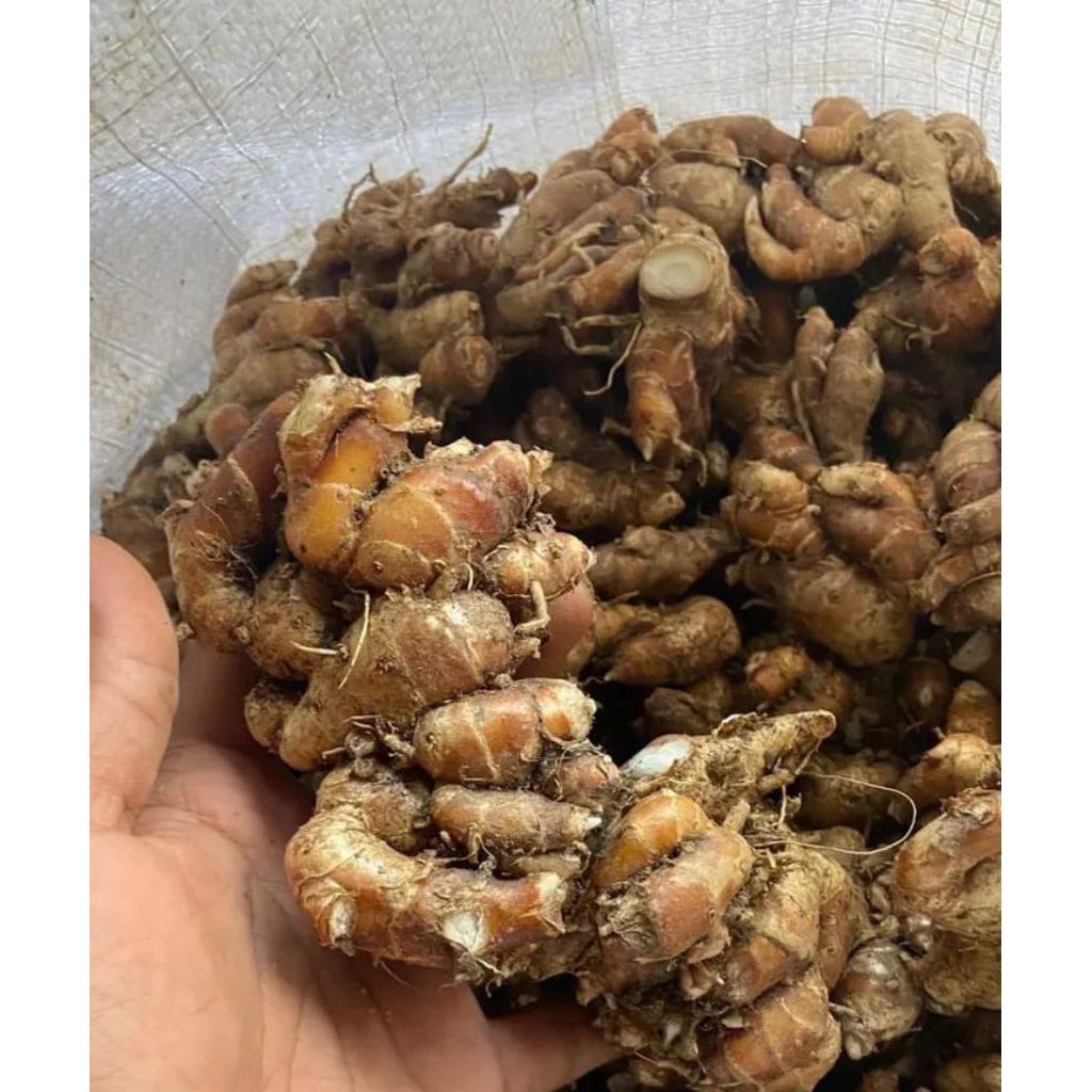 

kencur wangi 1kg bumbu seblak ready siap kirim