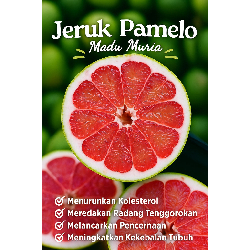 

jeruk pamelo madu muria paket 6 jeruk berat 1kg-1,2kg