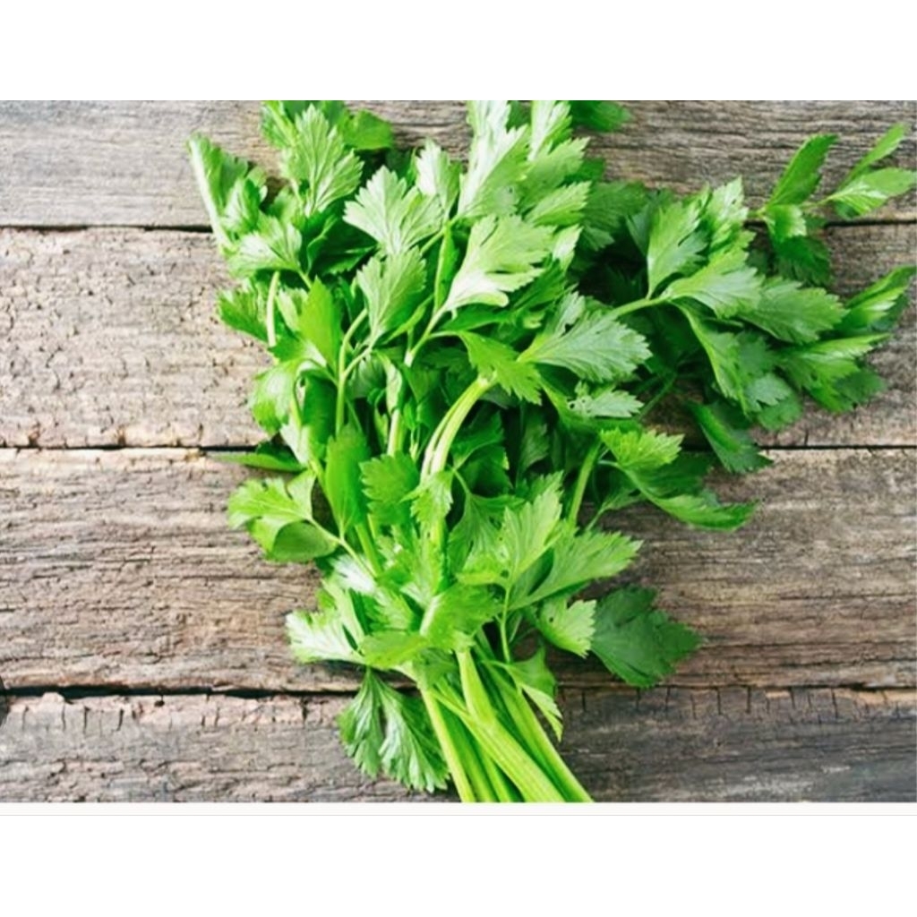 

seledri segar 50g,100g,250g