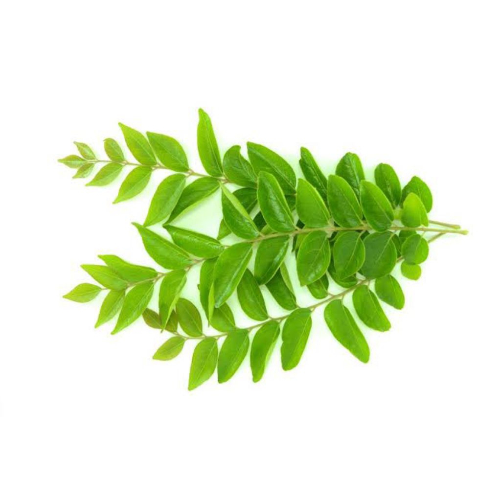 

Daun Kari / Temurui / Salam Koja (Rempah Fresh)