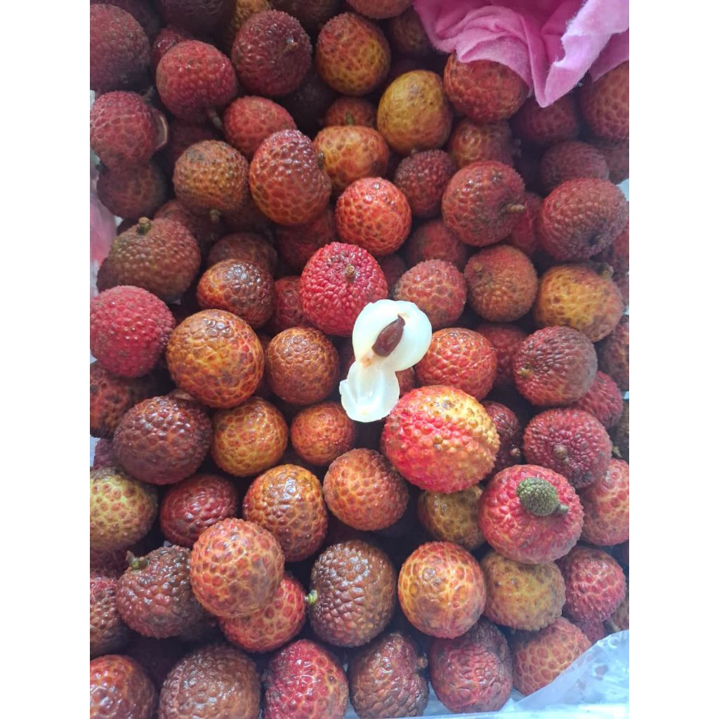 

Leci Merah 1kg (INSTAN)