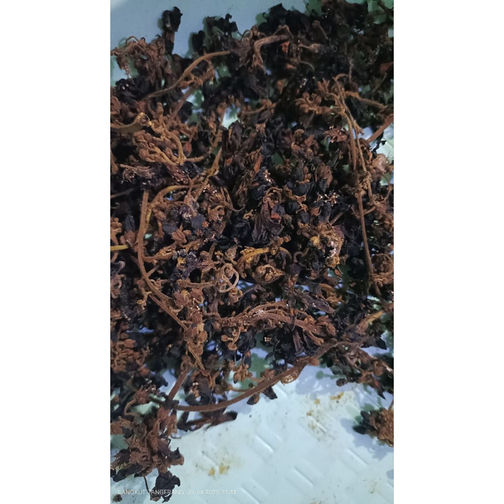 

Bunga Belimbing Wuluh Kering 10Gram