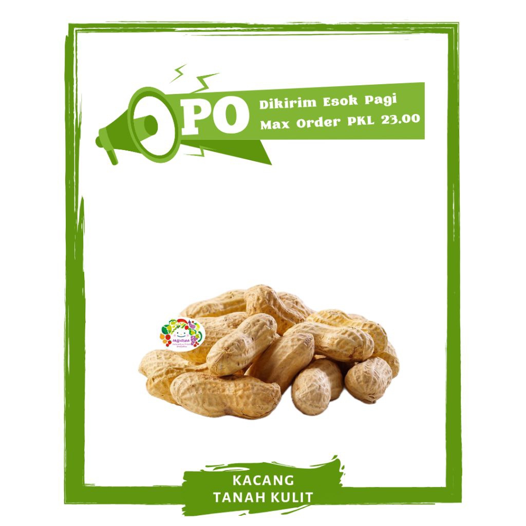 

Kacang Tanah Kulit / Sayur Sayuran Segar PO Mallahrizwa