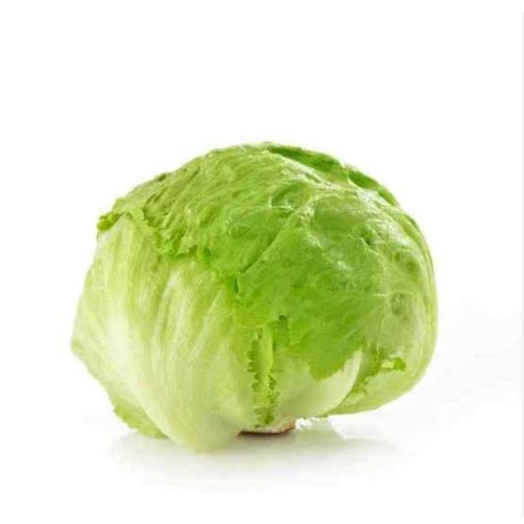 

lettuce icebreg 500g