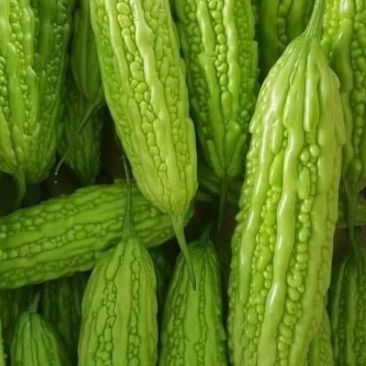 

500gr sayur pare fresh