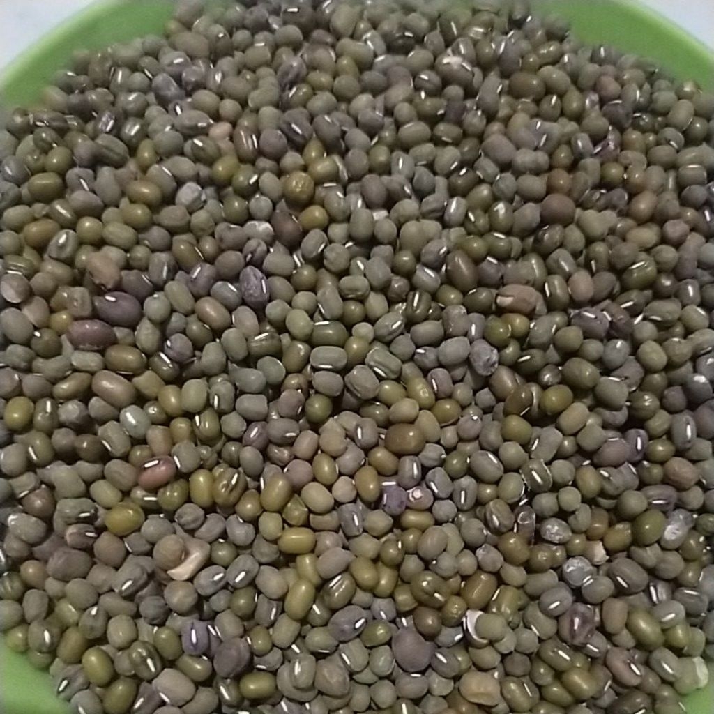 

kacang ijo lokal 250g,500g,1kg