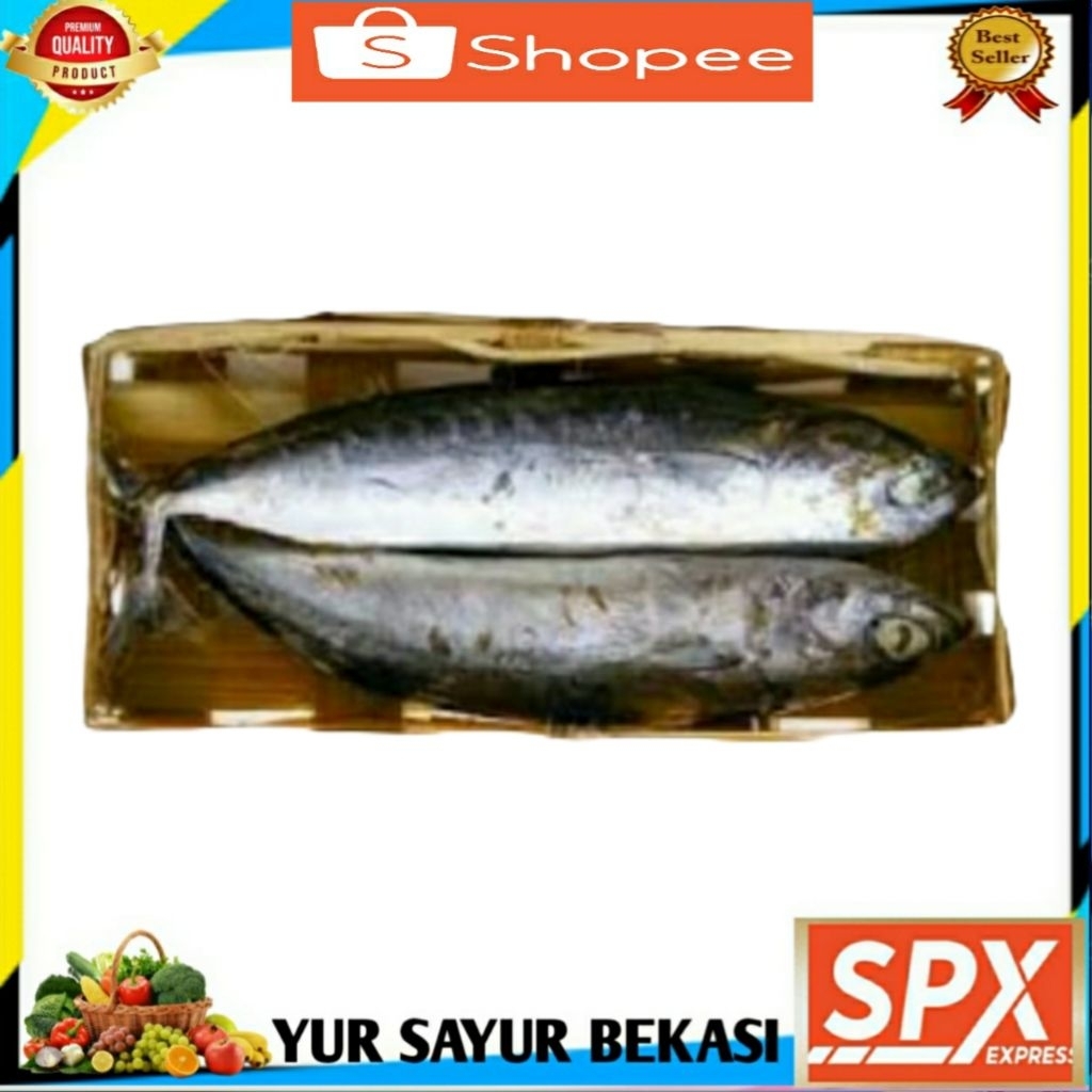 

Ikan Cue/Cuek Besar Per Keranjang isi 2.