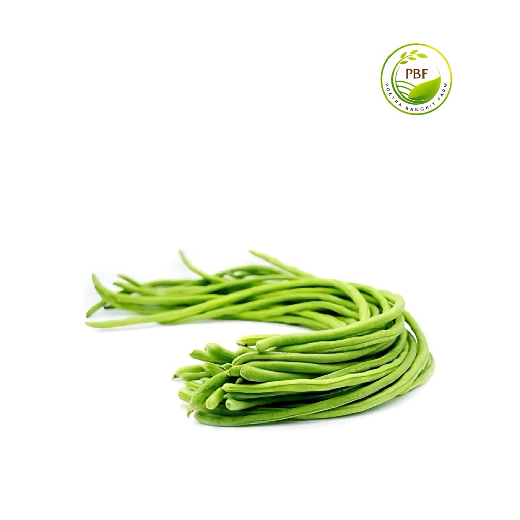 

Kacang Panjang Segar 500GR