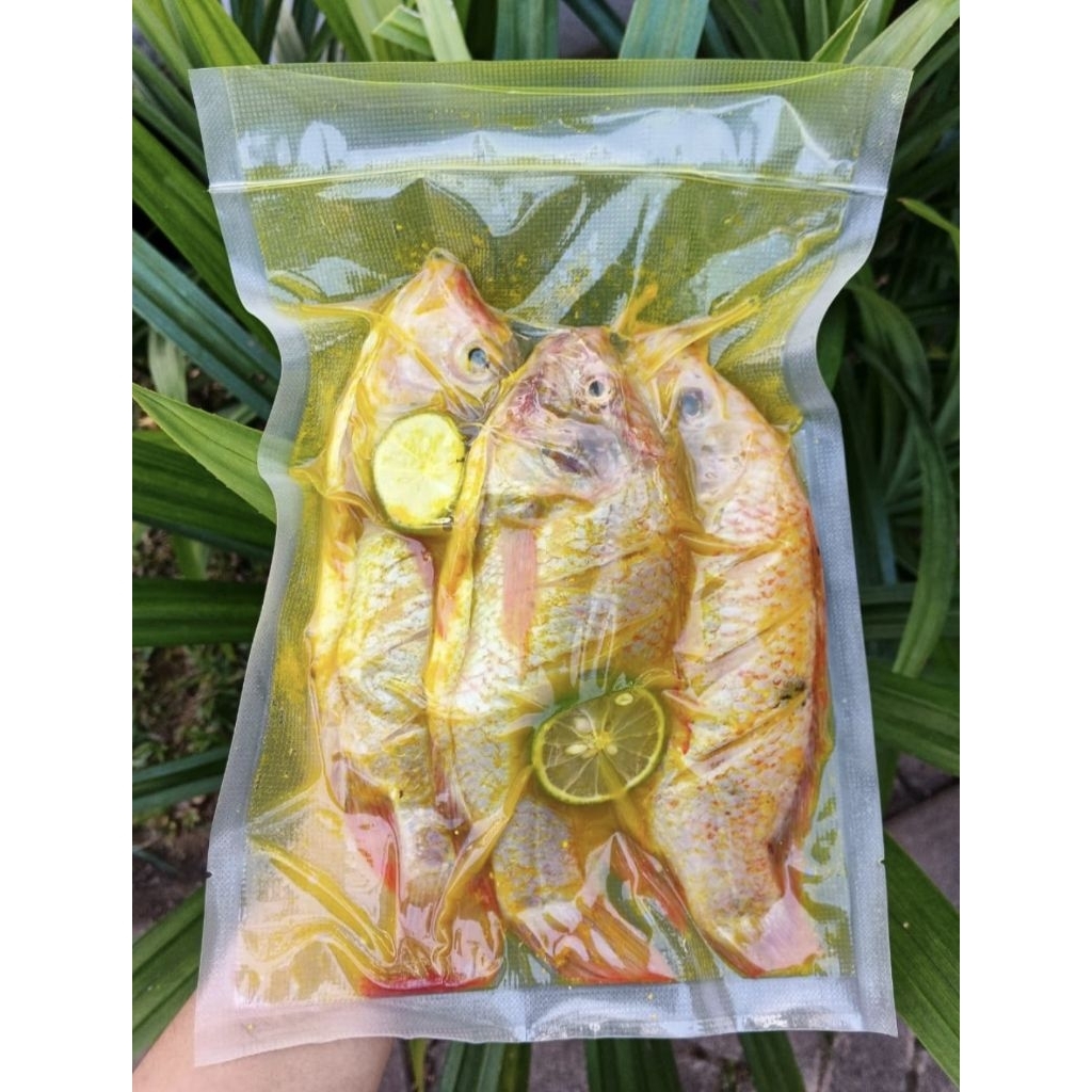 

Nila Marinasi Frozen (3 ekor)