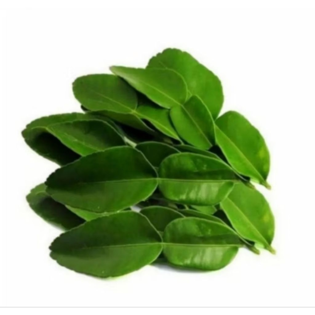 

daun jeruk fresh 1kg