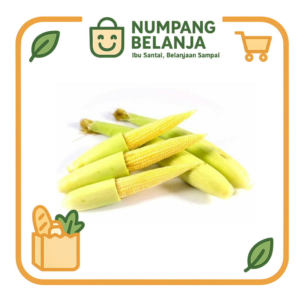 

jagung putren sayur fresh [250g]
