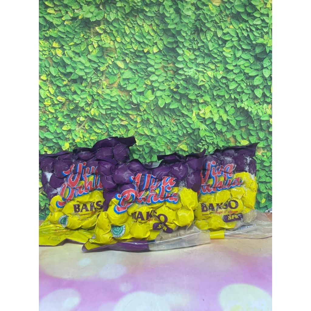 

Viva Dahlia Bakso 500 gram