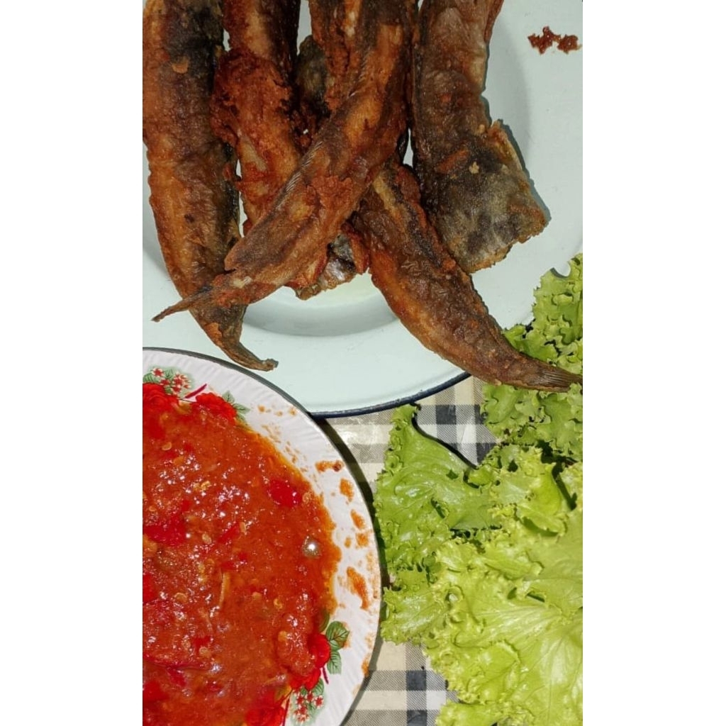 

PECEL LELE SIAP MAKAN