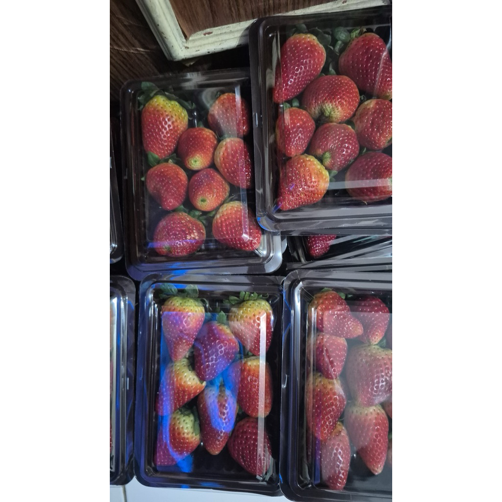 

Fresh strawberry import Korea size sedang dominan manis 260 gram per pack