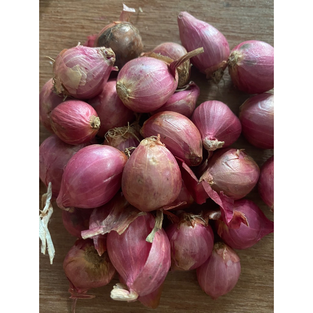 

bawang merah tanggung super