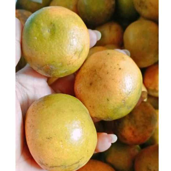 

buah jeruk fress(500 gram dan 1000 gram ) di jamin segar, manis dan juice