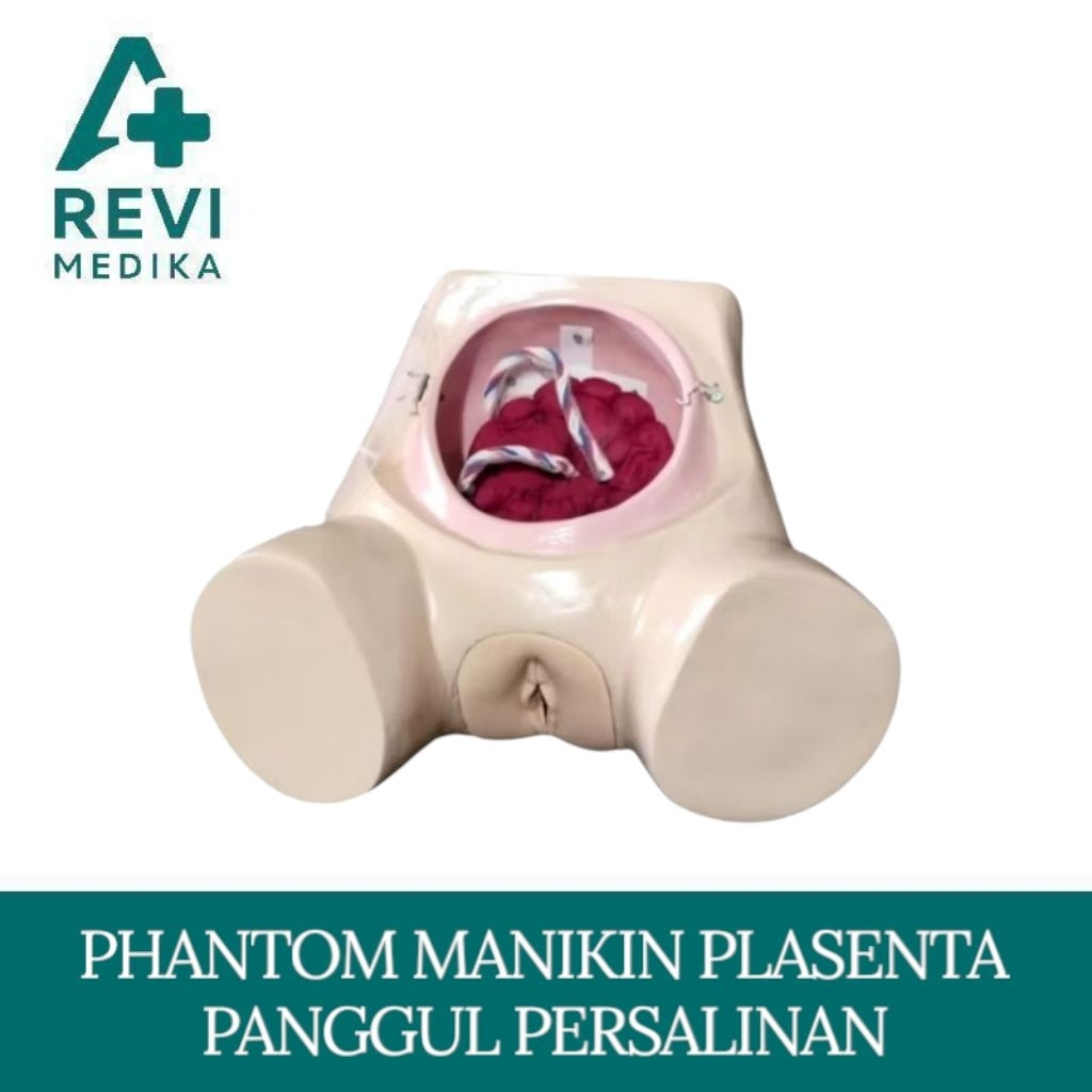 Phantom Manikin Plasenta Panggul Persalinan / Manikin Panggul Manual Plasenta