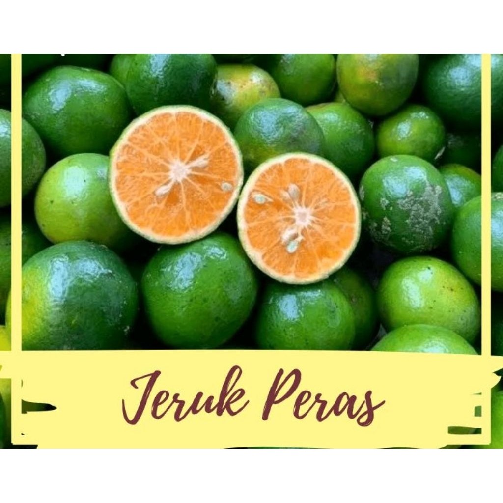 

jeruk peras 1 kg