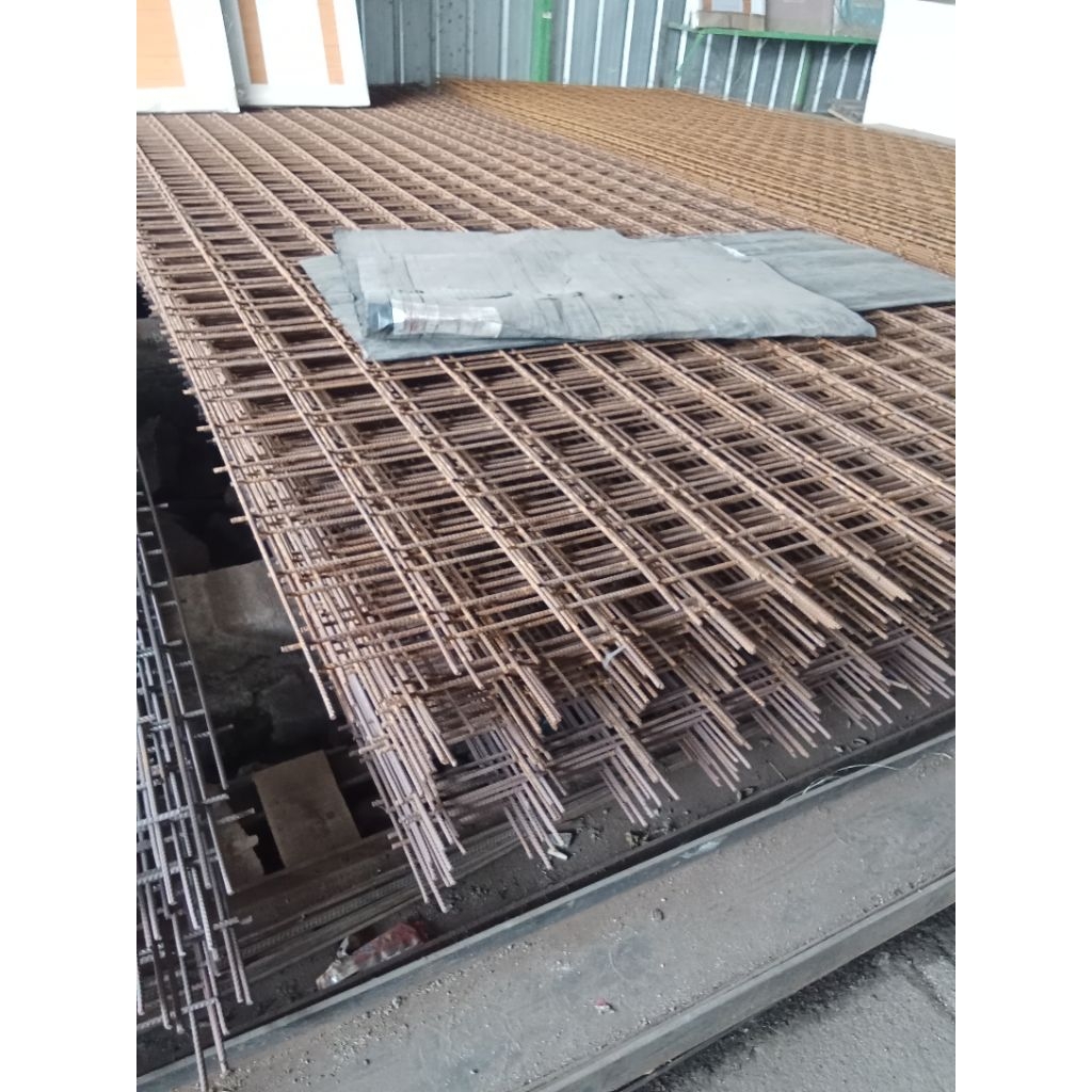 wermes 10mm. wiremesh 10mm bc