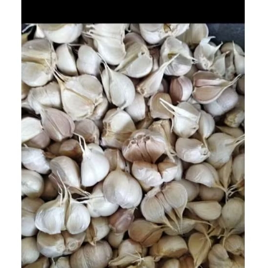 

BAWANG KATING BERSIH FRESS 500g