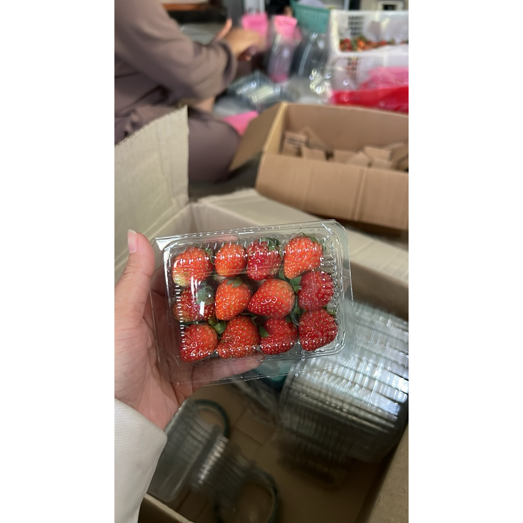 

Strawberry Fresh Mini