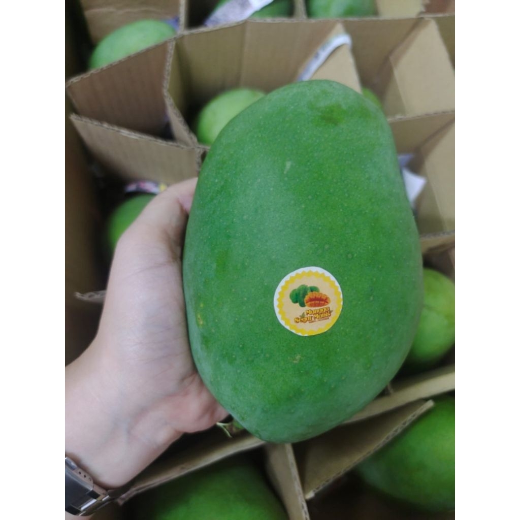 

buah mangga harum manis fresh manis per 1 kg mangga